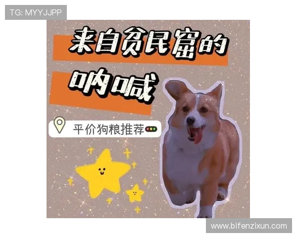 今晚波胆怎么买避坑指南极速提现不踩雷